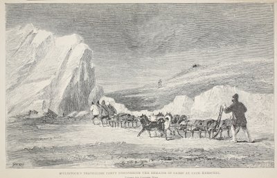 McClintock